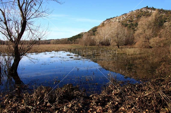 Klikni za ogled večje slike