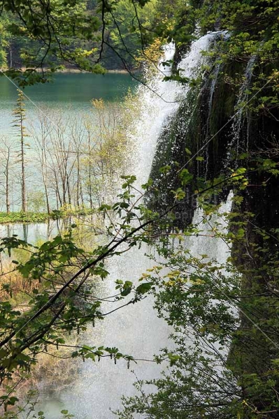 Klikni za ogled večje slike